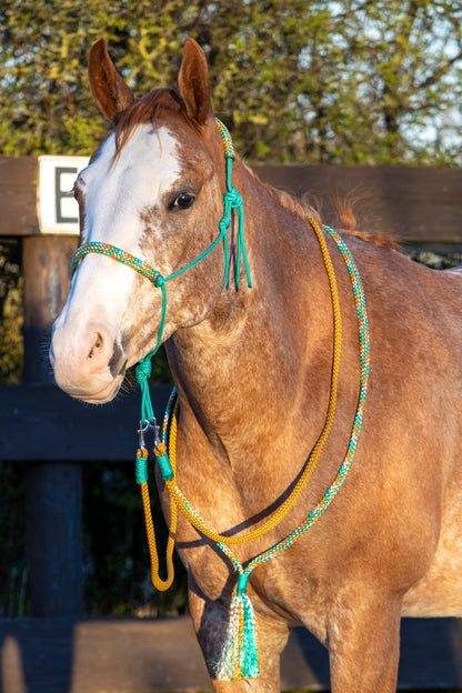 Touwhalster set green karamel