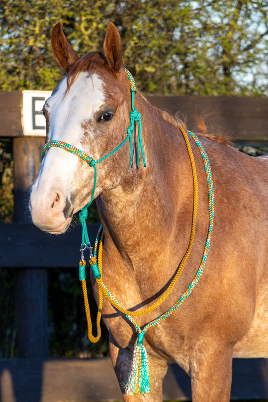 Rope holster set green caramel