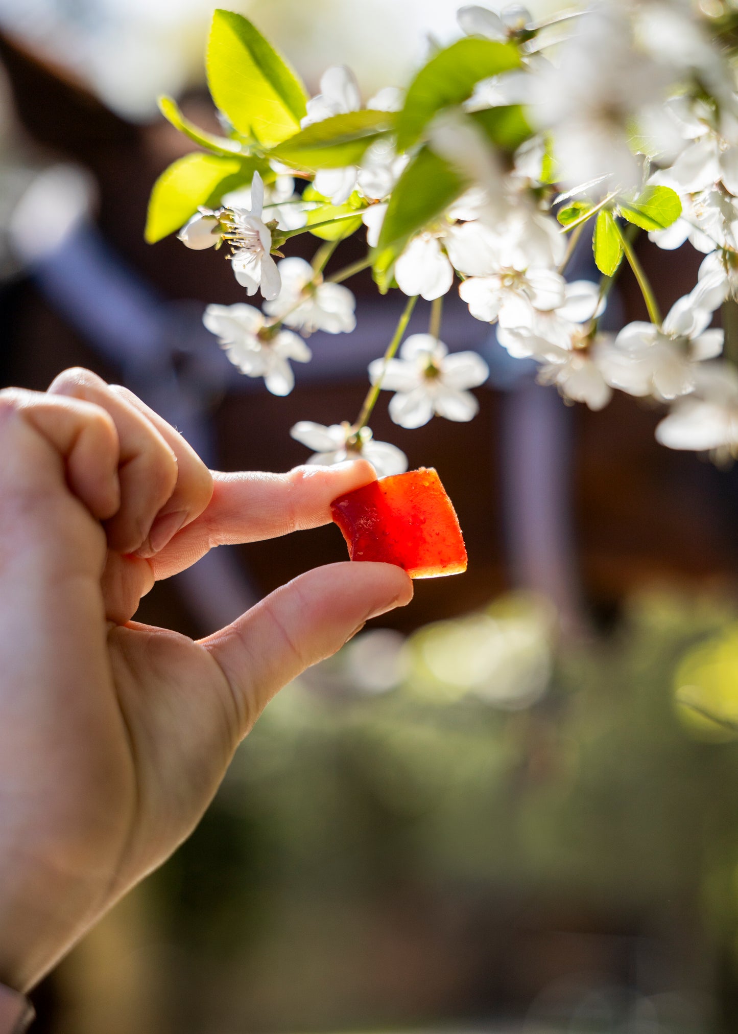 Candy Horse - Bonbons pour chevaux Fruit Jellies Cerise & Cardamome