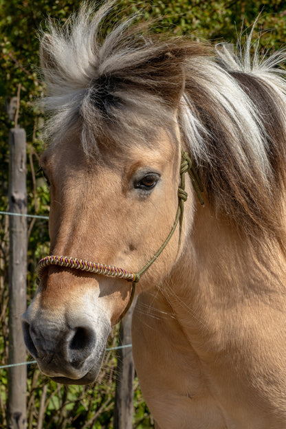 Rope Halter Vienna Noseband Army Green, Beige, Caramel, and Bordeaux
