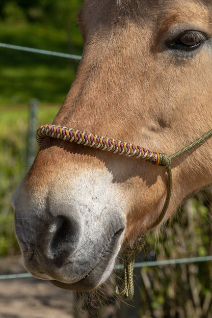 Rope Halter Vienna Noseband Army Green, Beige, Caramel, and Bordeaux