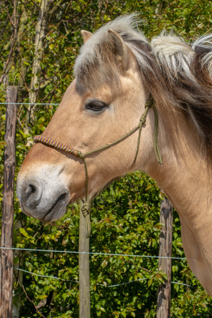 Rope Halter Vienna Noseband Army Green, Beige, Caramel, and Bordeaux