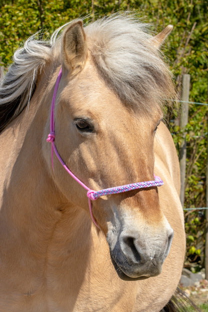 Rope halter braided noseband baby pink, baby blue and lilac