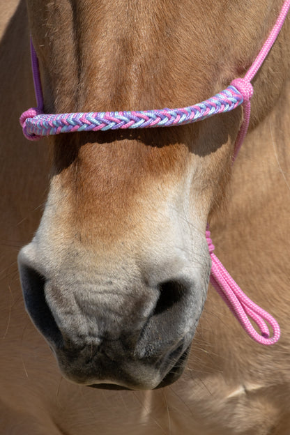 Rope halter braided noseband baby pink, baby blue and lilac