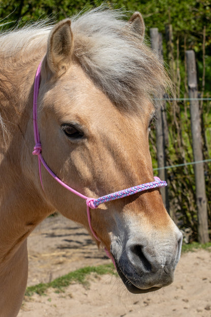 Rope halter braided noseband baby pink, baby blue and lilac