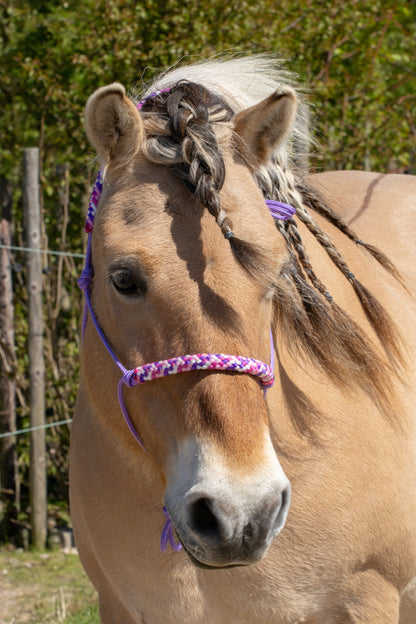 Rope halter purple with country girl noseband and earband
