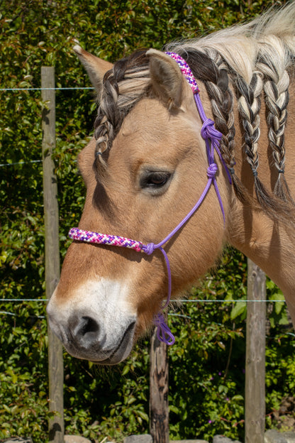 Rope halter purple with country girl noseband and earband