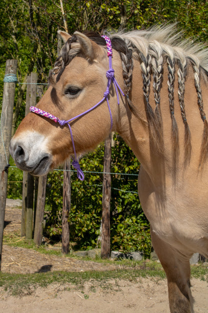 Rope halter purple with country girl noseband and earband