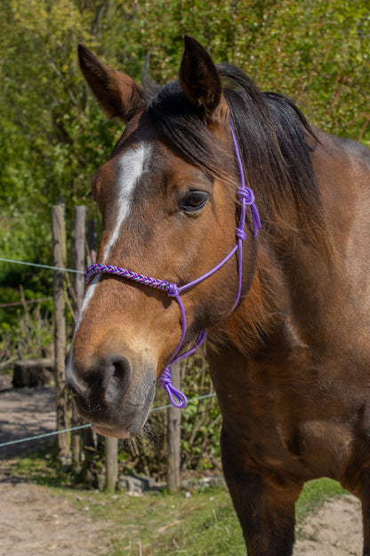 Rope halter with braided noseband purple, sea green and old pink