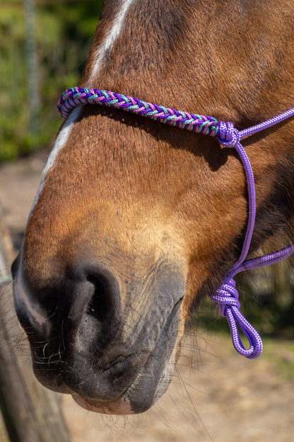 Rope halter with braided noseband purple, sea green and old pink