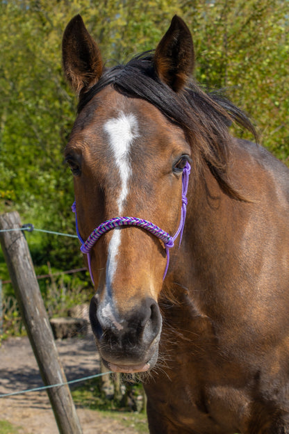 Rope halter with braided noseband purple, sea green and old pink