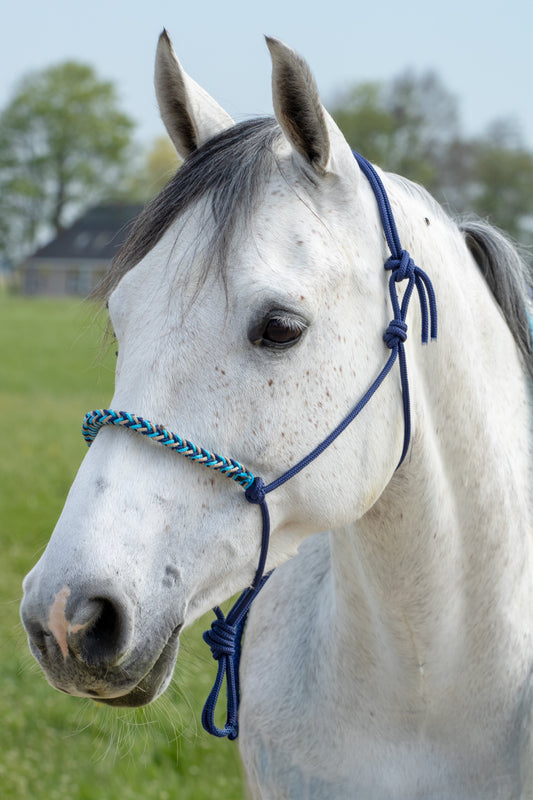 Rope halter braided noseband dark blue, beige and ocean blue