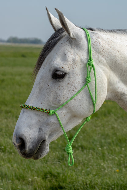 Rope holster set royal lime