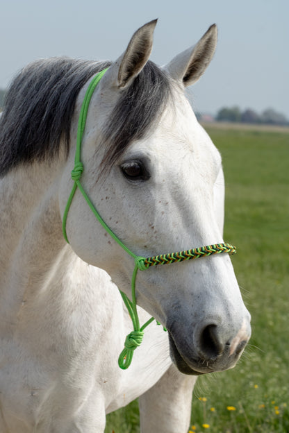 Rope holster set royal lime