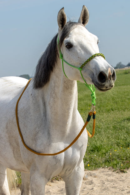 Rope holster set royal lime