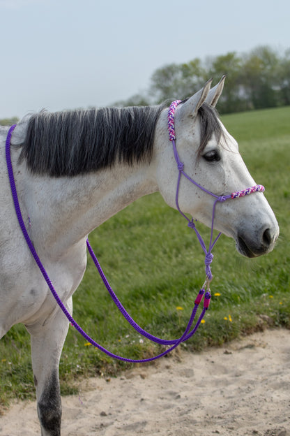 Rope holster set purple dream