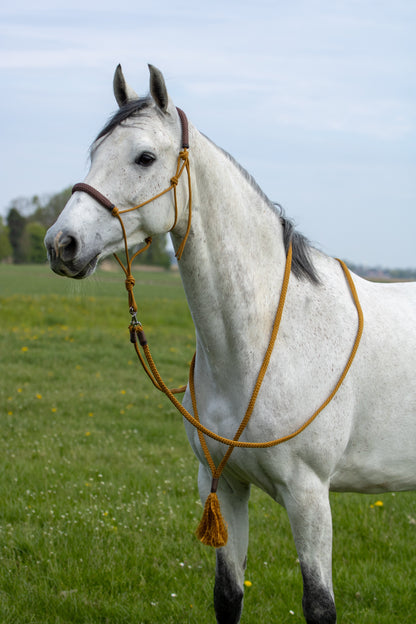Touwhalster Set Kühles Karamell