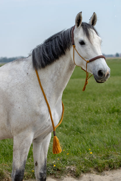 Touwhalster Set Kühles Karamell