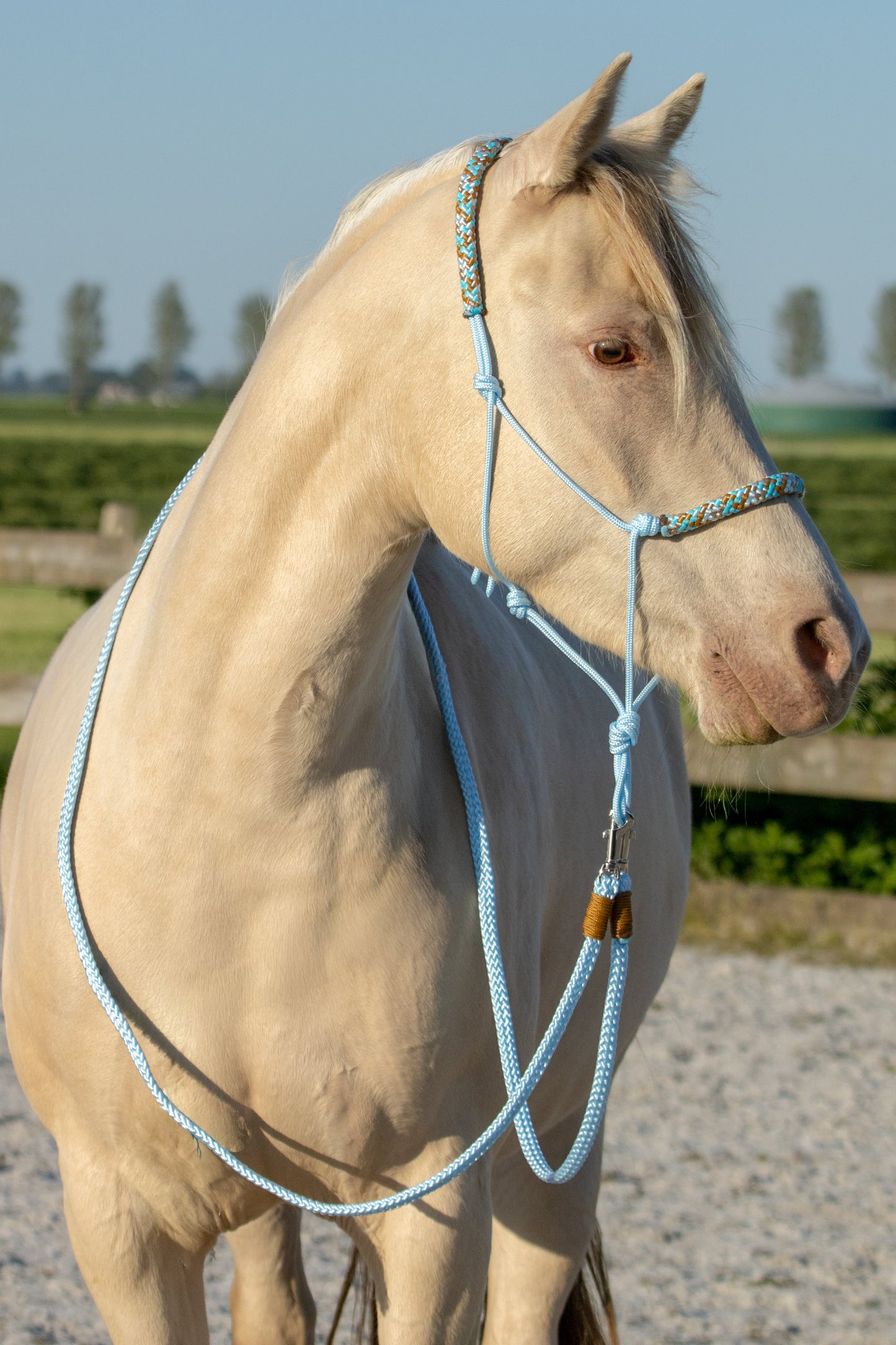Rope holster set melodic blue