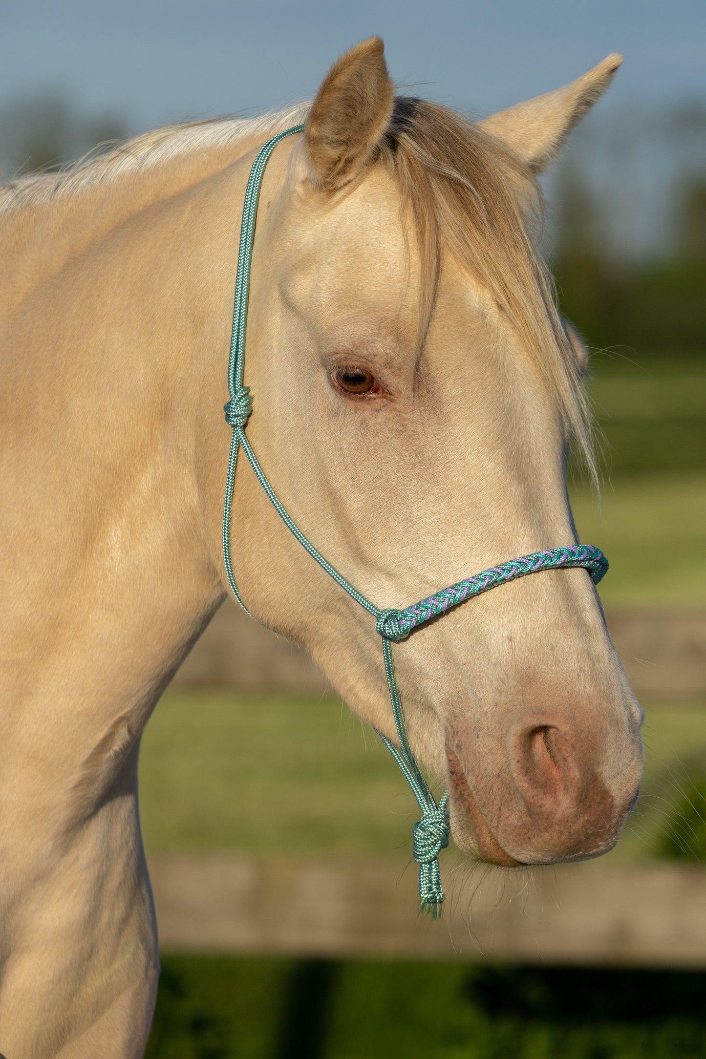 Rope halter braided noseband sea green, mint green and lilac
