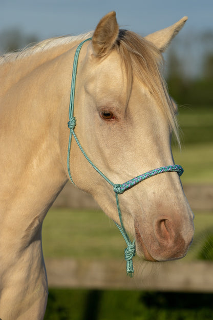 Rope halter braided noseband sea green, mint green and lilac