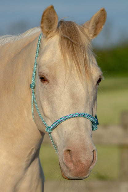 Rope halter braided noseband sea green, mint green and lilac