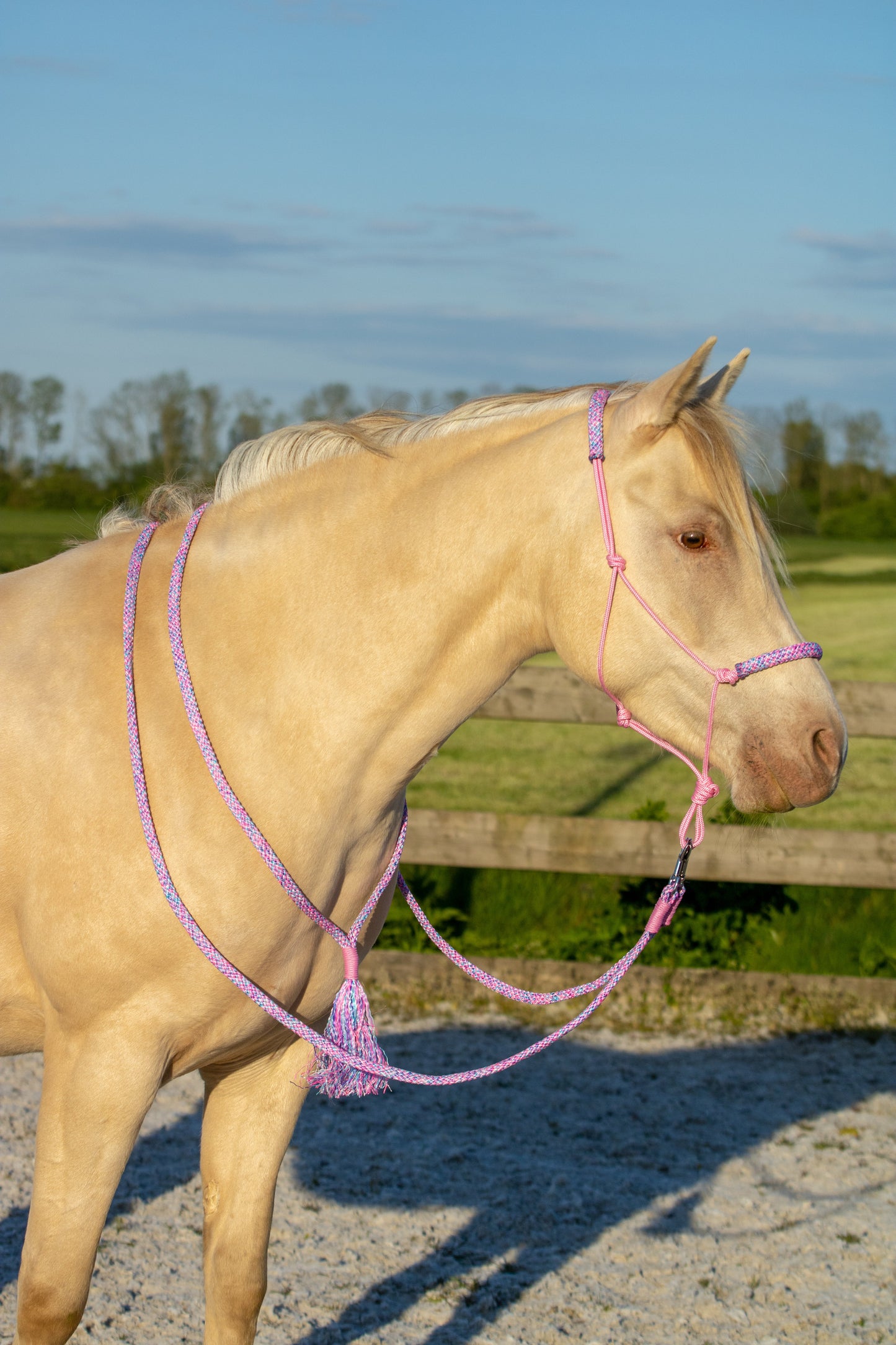 Rope Halter Set My Little Pony