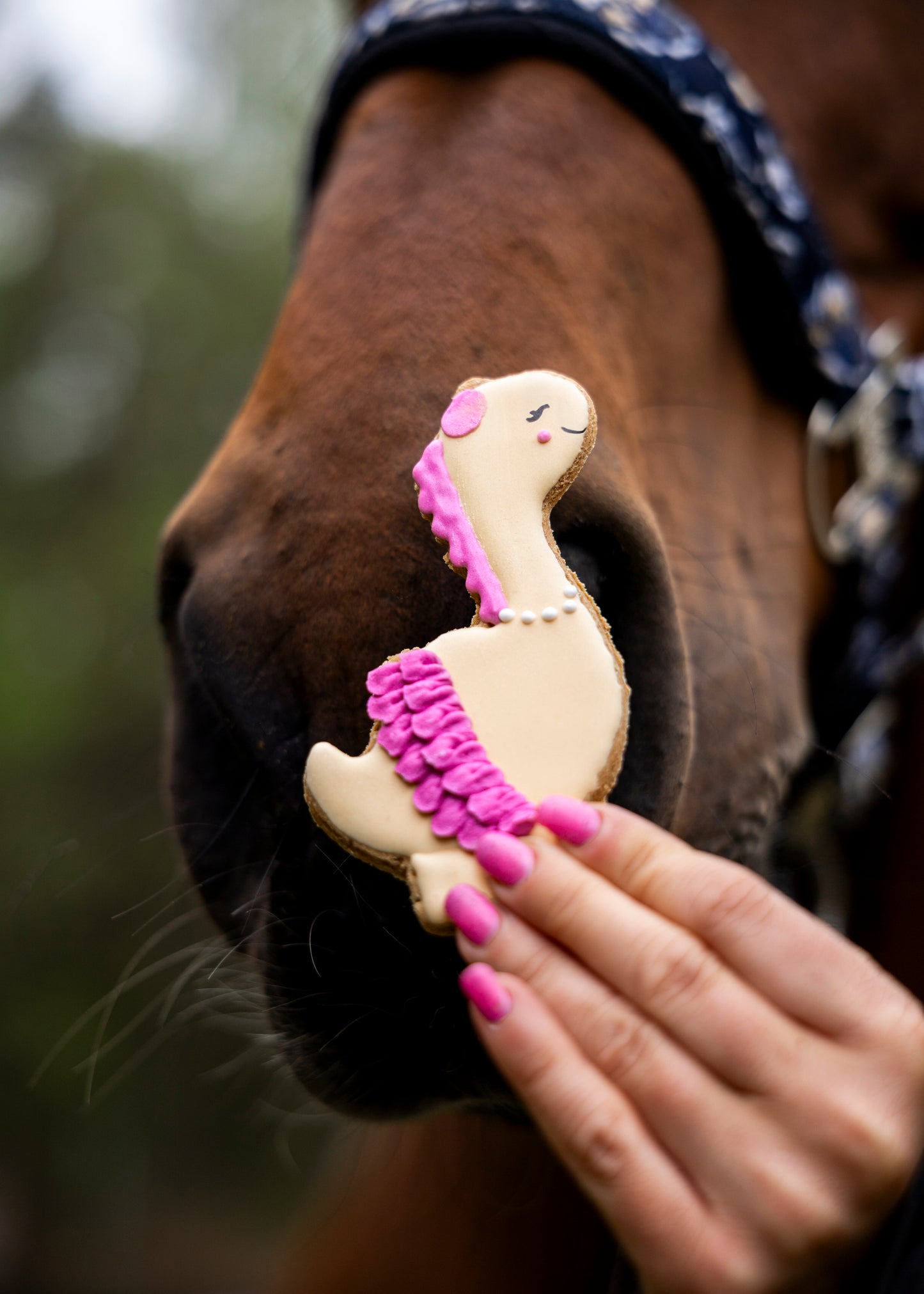 Candy Horse - Collezione limitata Stable Party - Biscotto singolo (varie varianti)