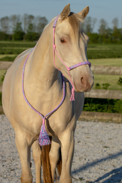 Seilhalfter Set Mein kleines Pony