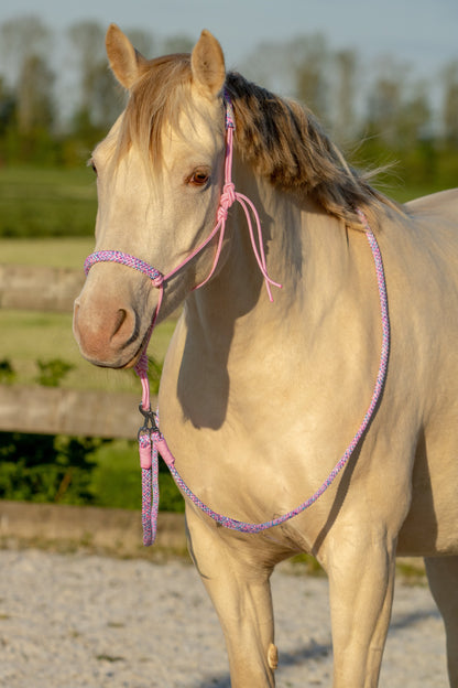 Seilhalfter Set Mein kleines Pony