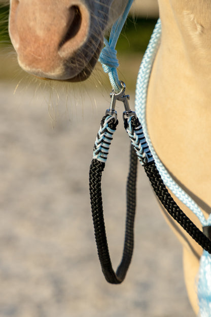 Rope holster set silver sky