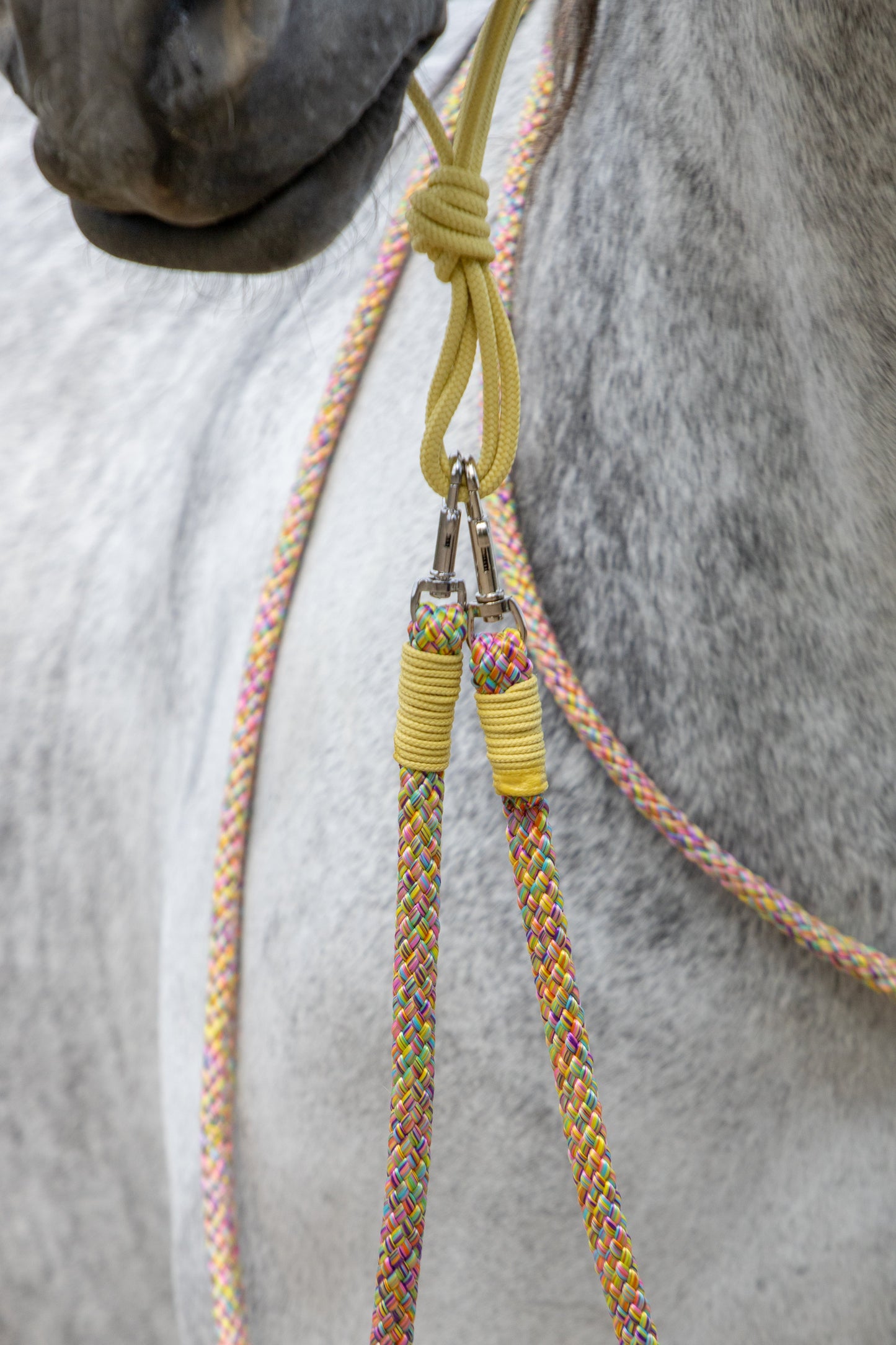 Rope holster set rainbow dash