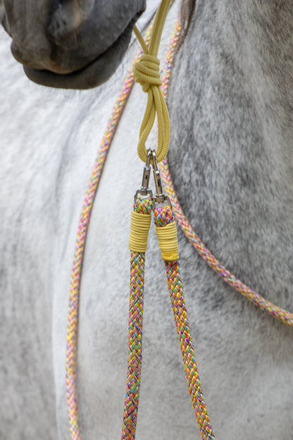 Rope holster set rainbow dash