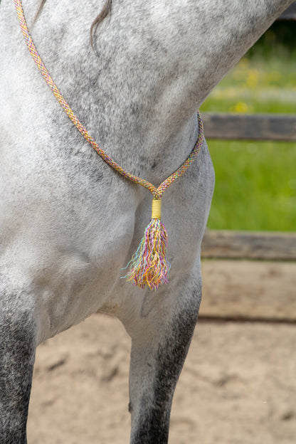 Rope holster set rainbow dash