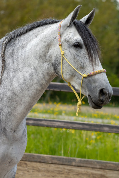 Rope halter pastel yellow with flower power