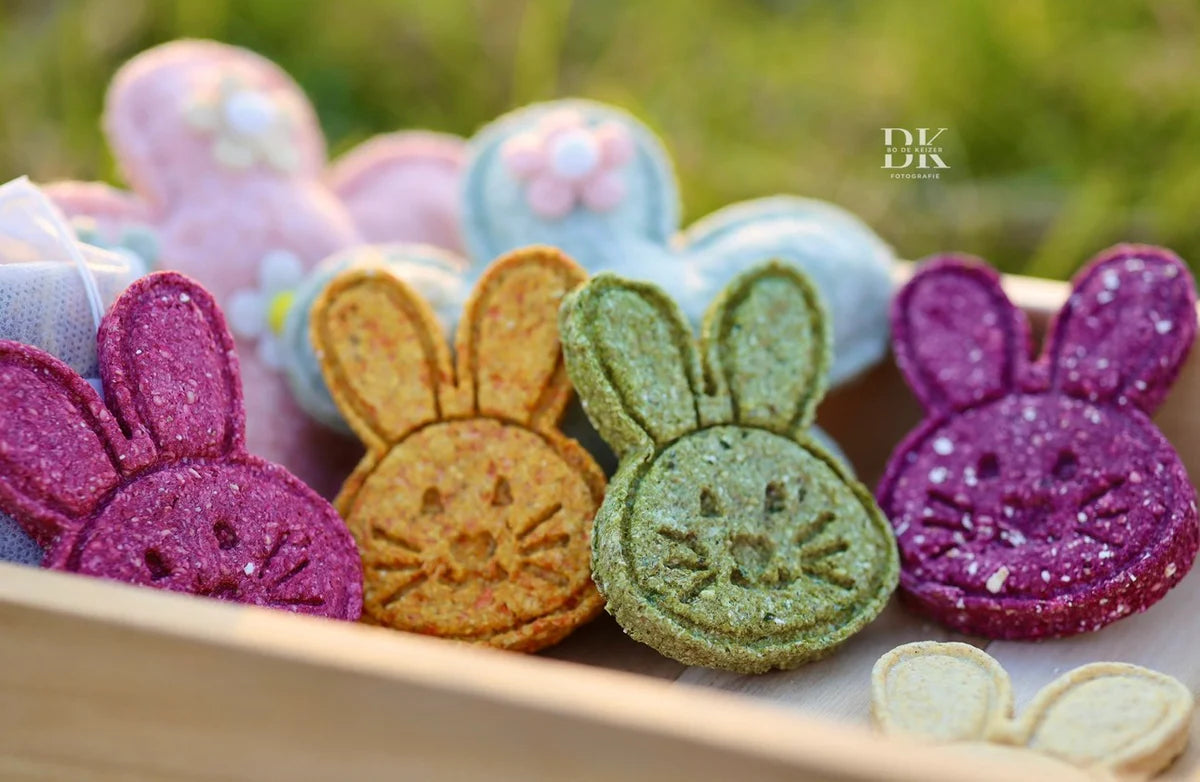 Horse Tea Company - Biscuits pour chevaux 4-pack Bunnies
