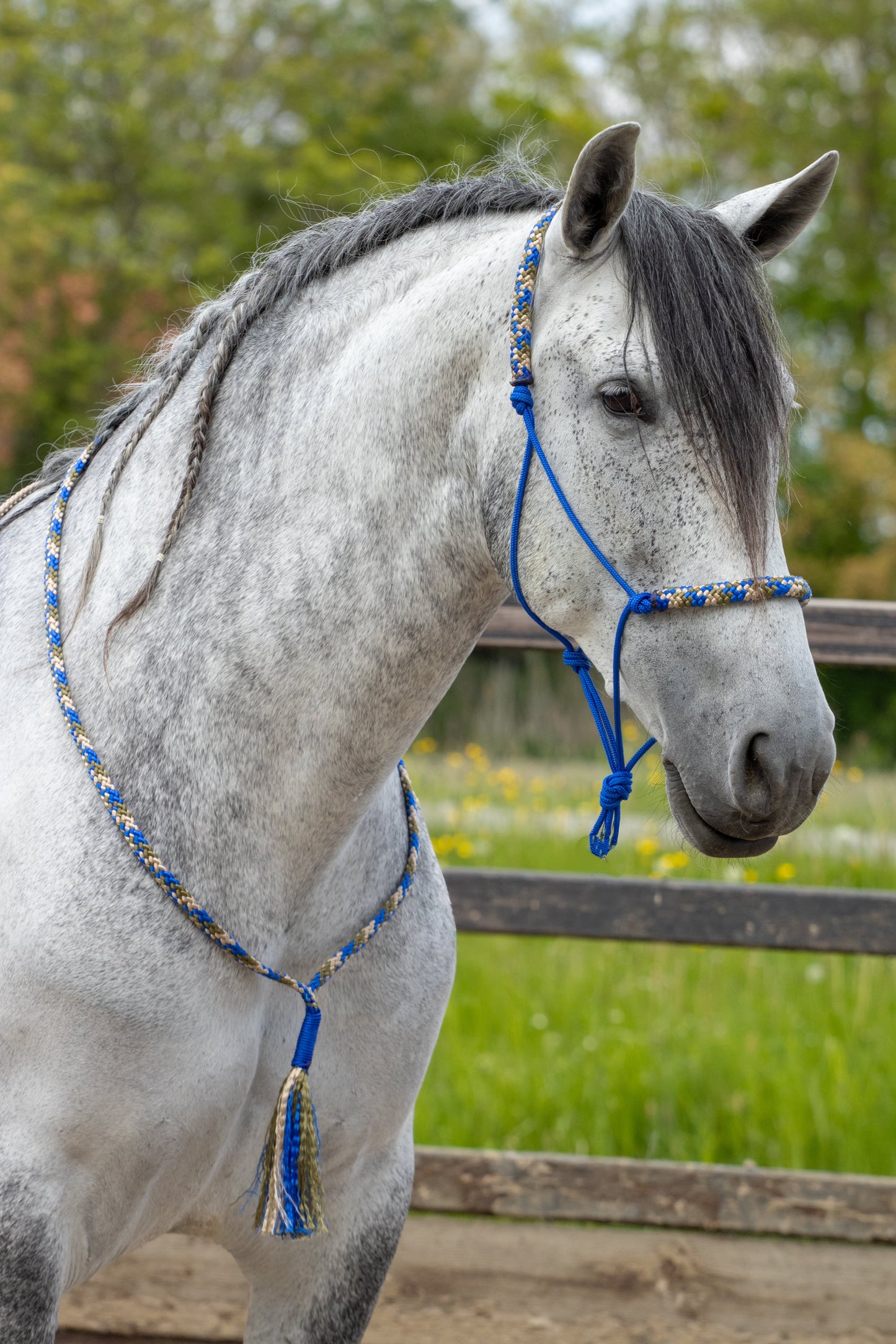 Rope Halter Set Ranger