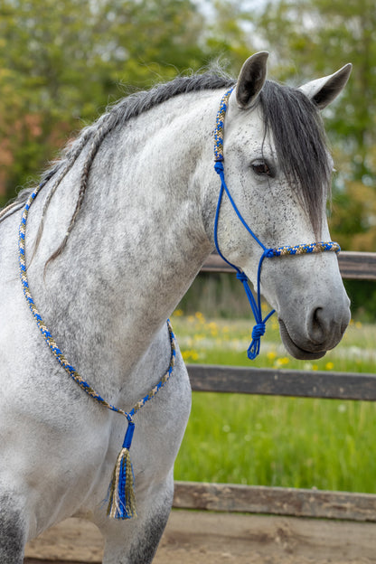 Rope Halter Set Ranger