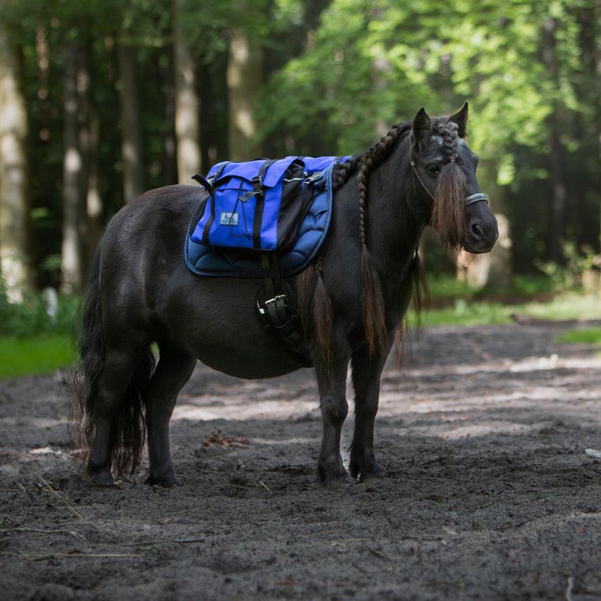 Equi-Pack - Zaino pony