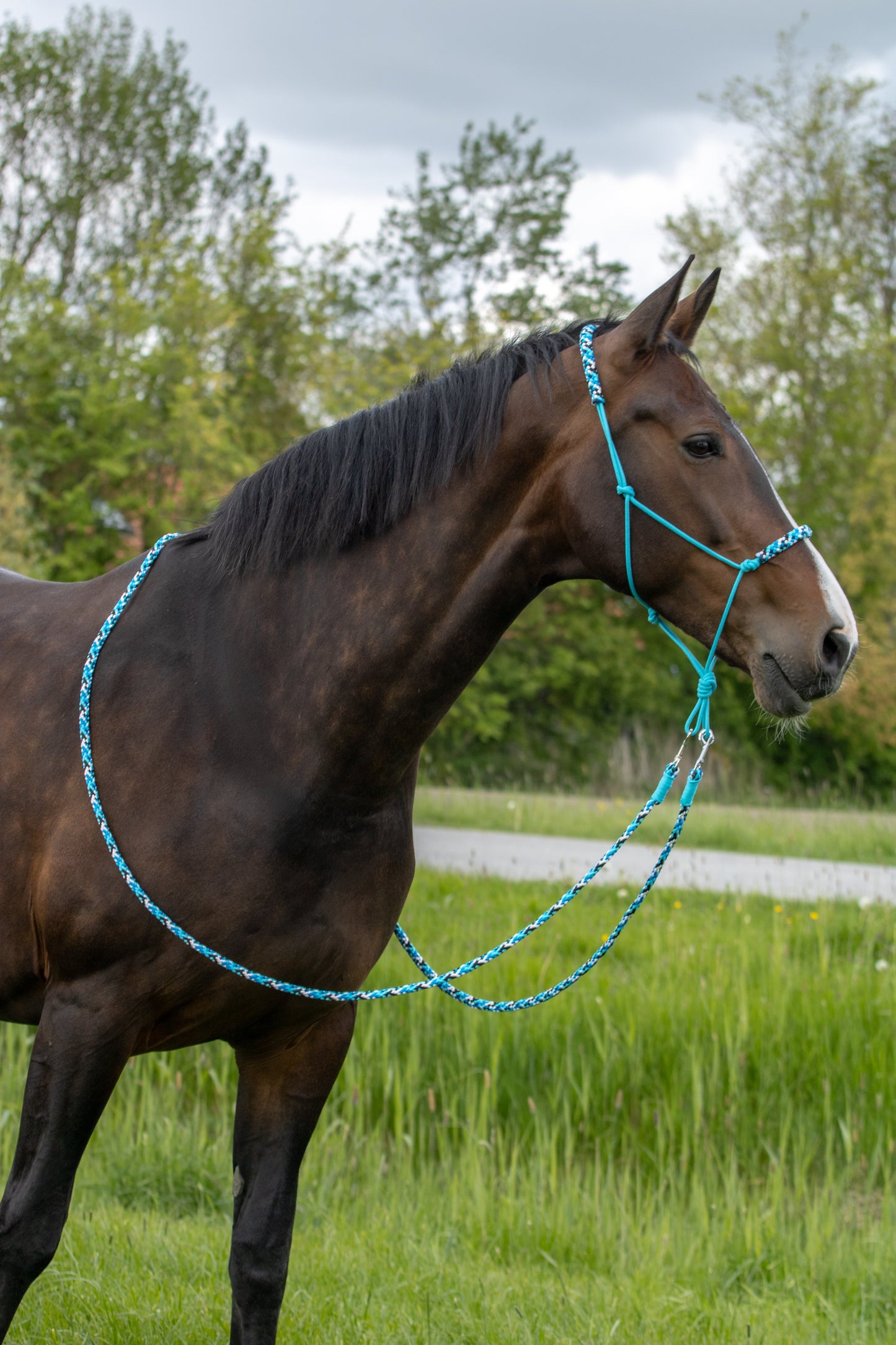 Rope holster set stormy
