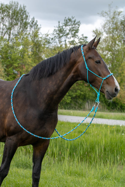 Rope holster set stormy