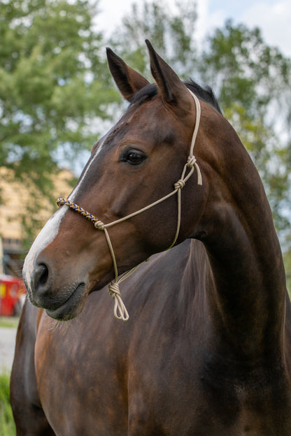 Rope halter with braided noseband beige, dark blue and caramel