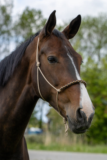Rope halter with braided noseband beige, dark blue and caramel