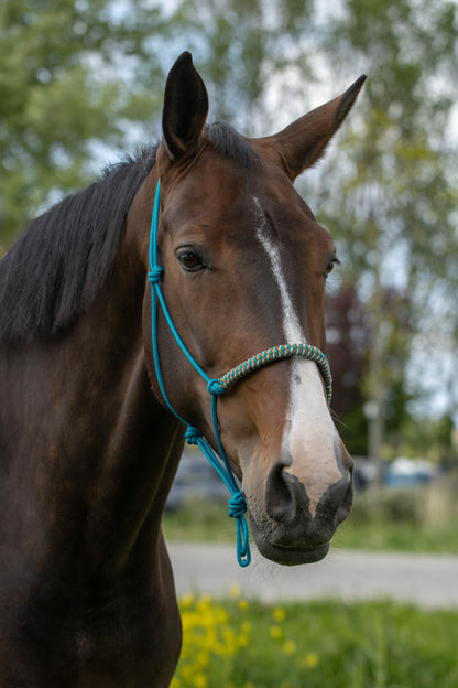 Rope Halter Vienna Noseband Aqua, Sea Green, Brown, and Caramel