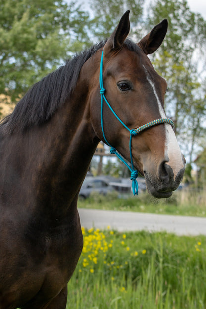 Rope Halter Vienna Noseband Aqua, Sea Green, Brown, and Caramel