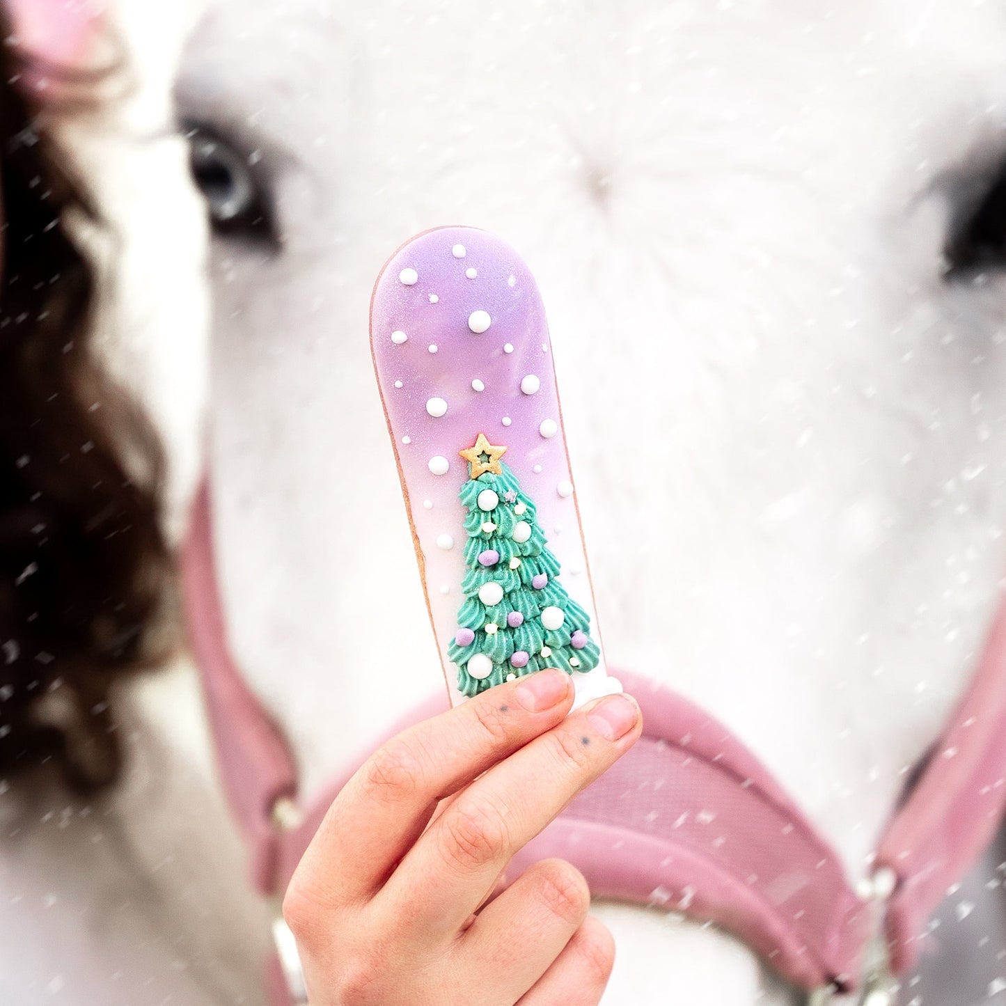 Candy Horse - Christmas Limited Collection - Winter Eclair