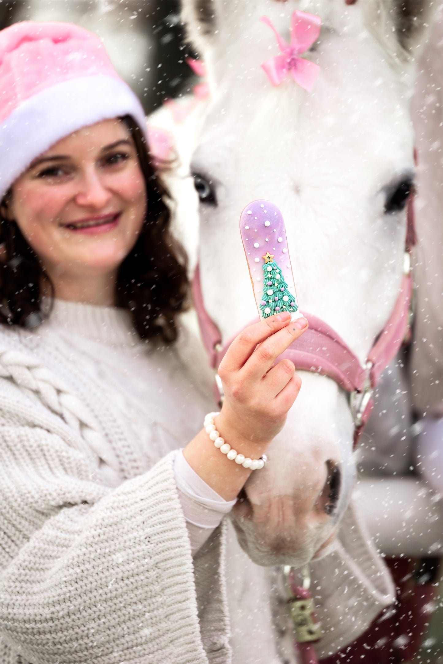 Candy Horse - Christmas Limited Collection - Winter Eclair