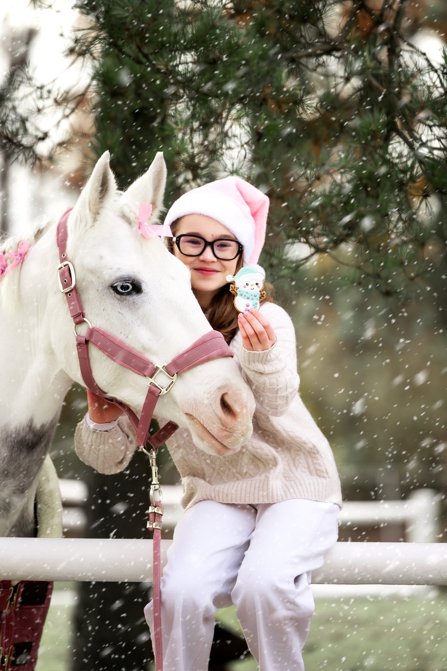 Candy Horse - Christmas Limited Collection - Los koekje