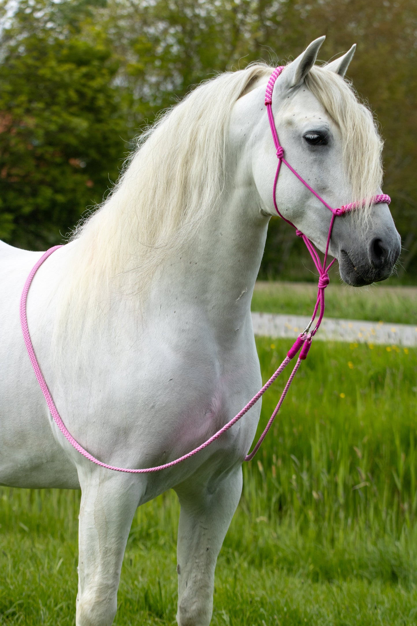 Rope holster set pink harmony
