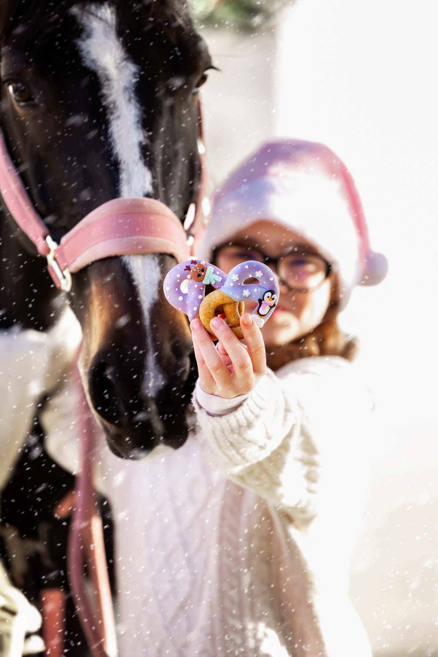 Candy Horse - Christmas Limited Collection - Versierde Pretzels